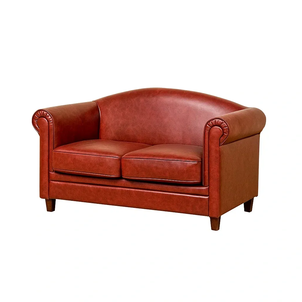 Mobilier de salon,Canapé 2 places