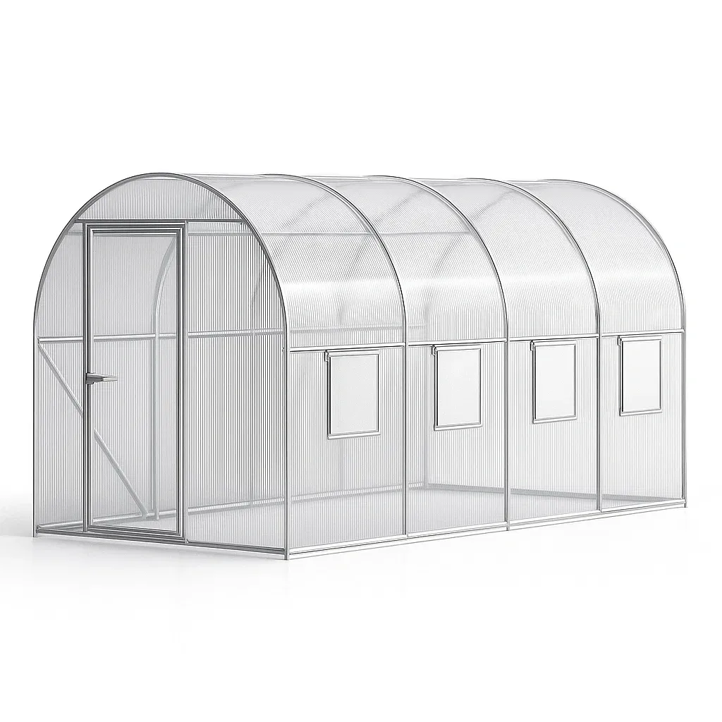 Serre de jardin en polycarbonate transparent avec cadre en aluminium (300x200x200 cm)