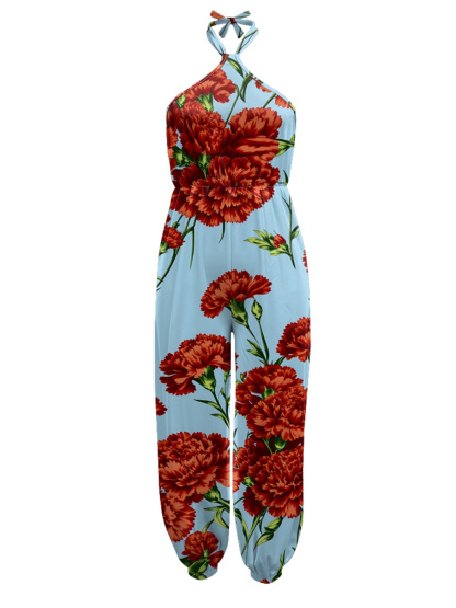 Red Carnation Sleeveless Halter Jumpsuit