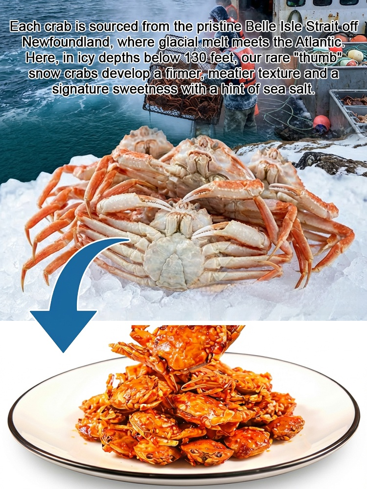 High-protein deep-sea crispy crab 🦀 | Zero additives, high protein, portable nutritional supplement ✅