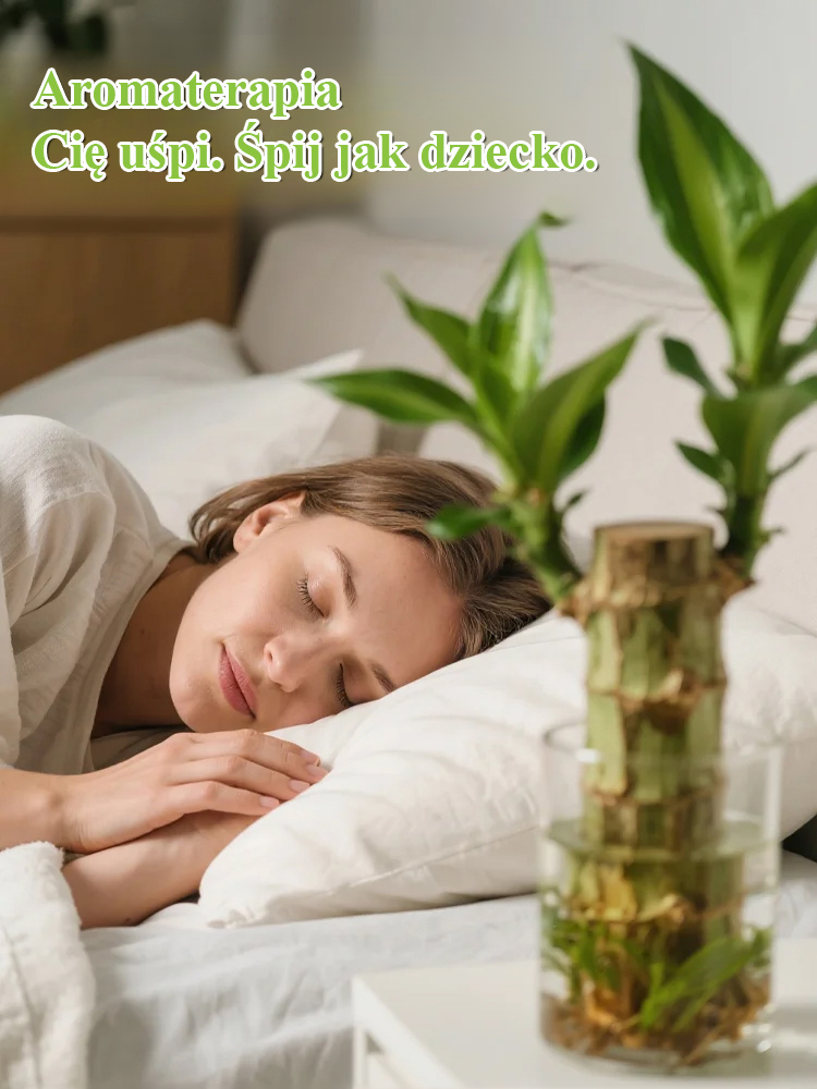 【Gdy napotka wodę, ożywa】Czteropory roku kwitnąca hydroponiczna brazylijska szczęśliwa roślina🪴