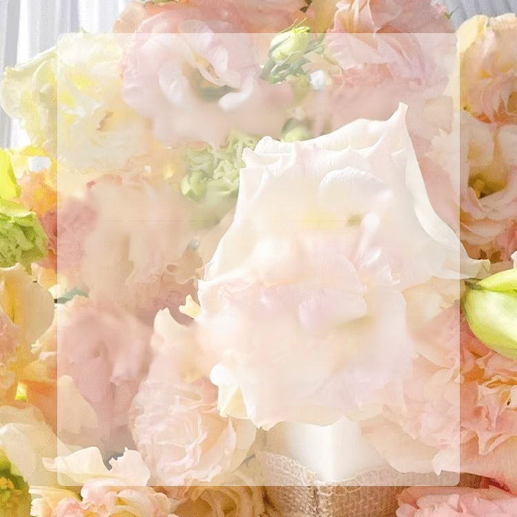 Nasiona lisianthusa premium