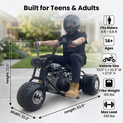 208cc Gas Mini Off-Road Trike Motorcycle CVT, 31MPH Drift Trike Bike