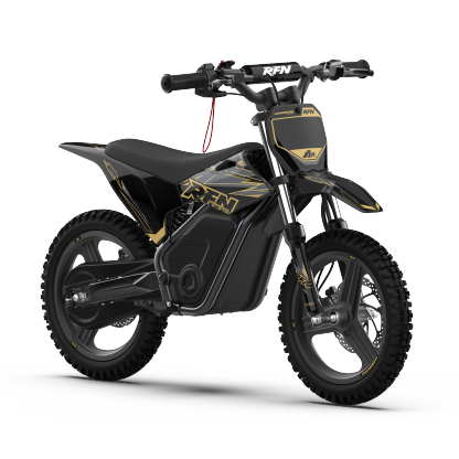WARRIOR KIDS SX-E500 Electric Bike