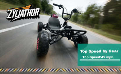 Zyliathor 212cc 4-Stroke Gas Off-Road Go Kart for Teens & Adults,