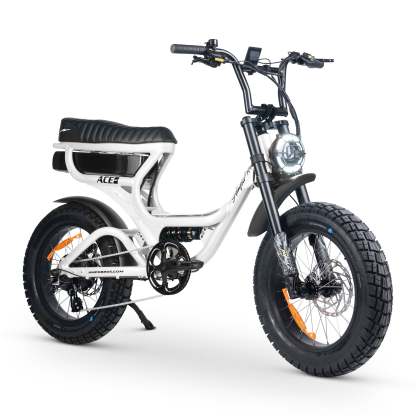 ACE-S PRO Electric Bike