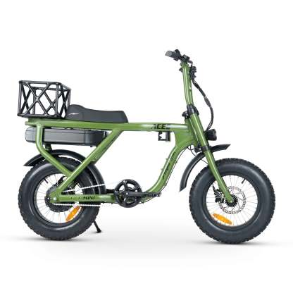 ACE-X Mini Electric Bike