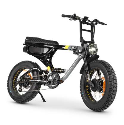 ACE-X Demon Dual Electric Bike