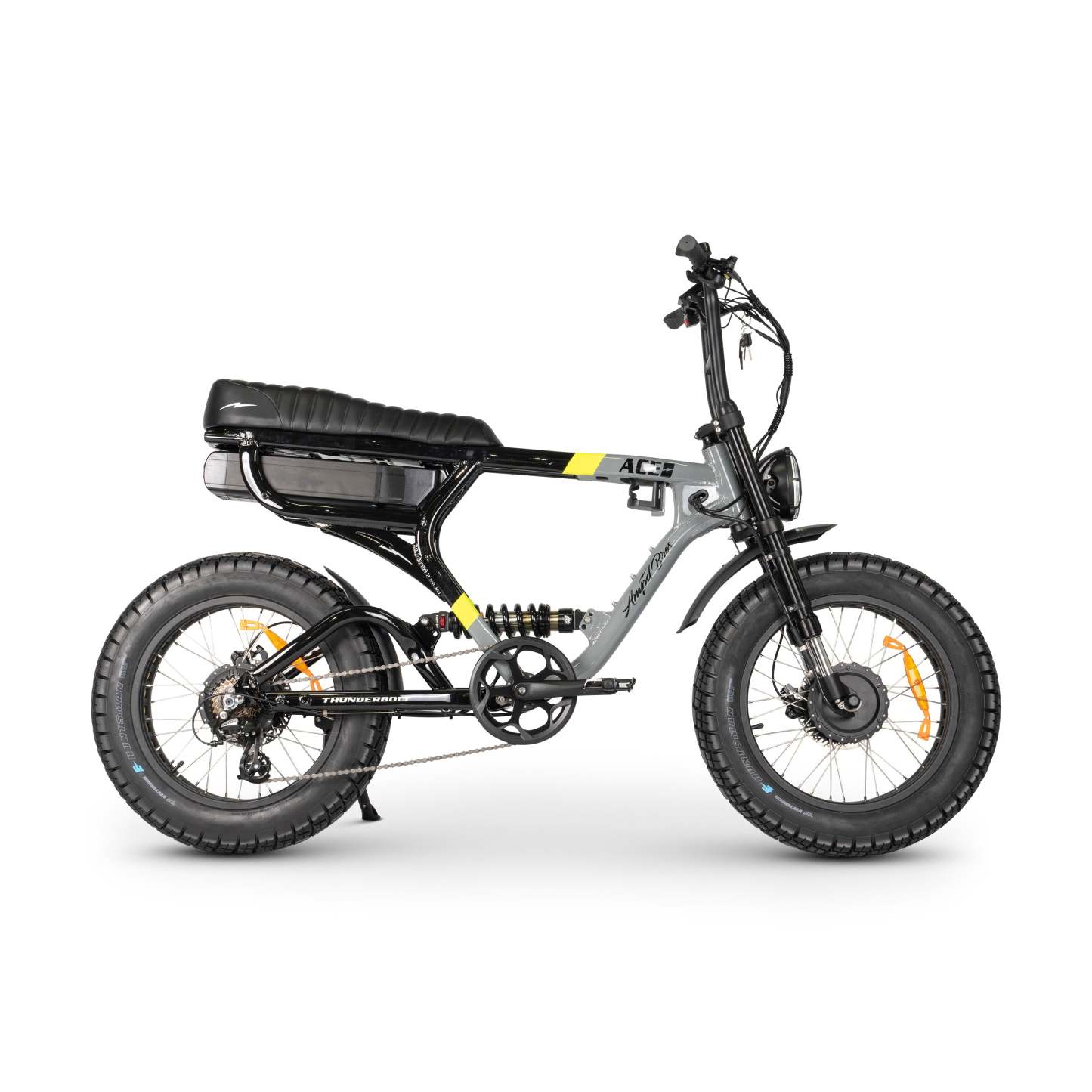 ACE-X Demon Dual Electric Bike