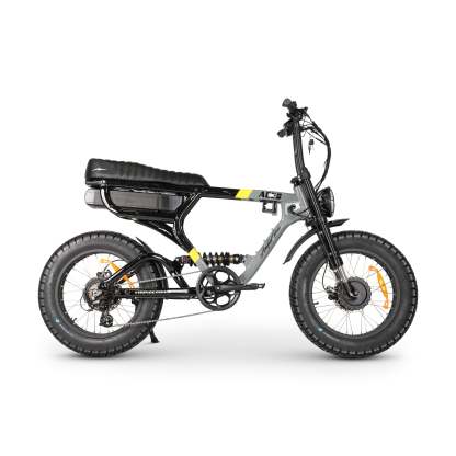 ACE-X Demon Dual Electric Bike