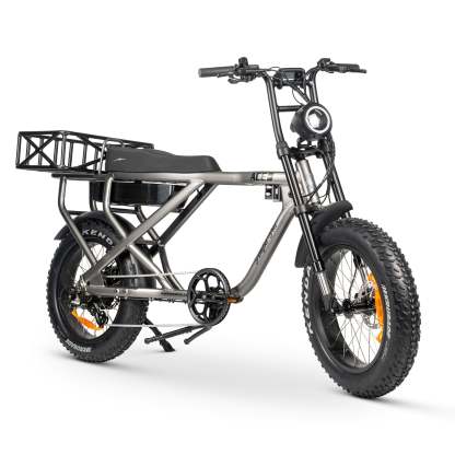 ACE-X MAX Electric Bike