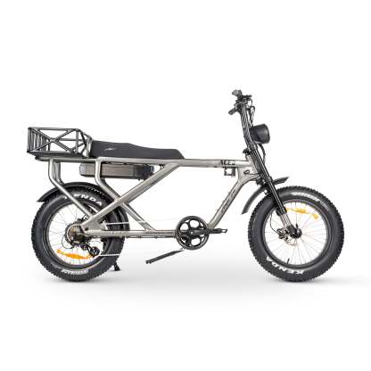 ACE-X MAX Electric Bike