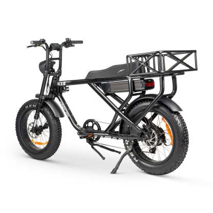 ACE-X MAX Electric Bike