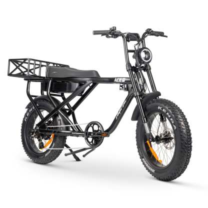 ACE-X MAX Electric Bike
