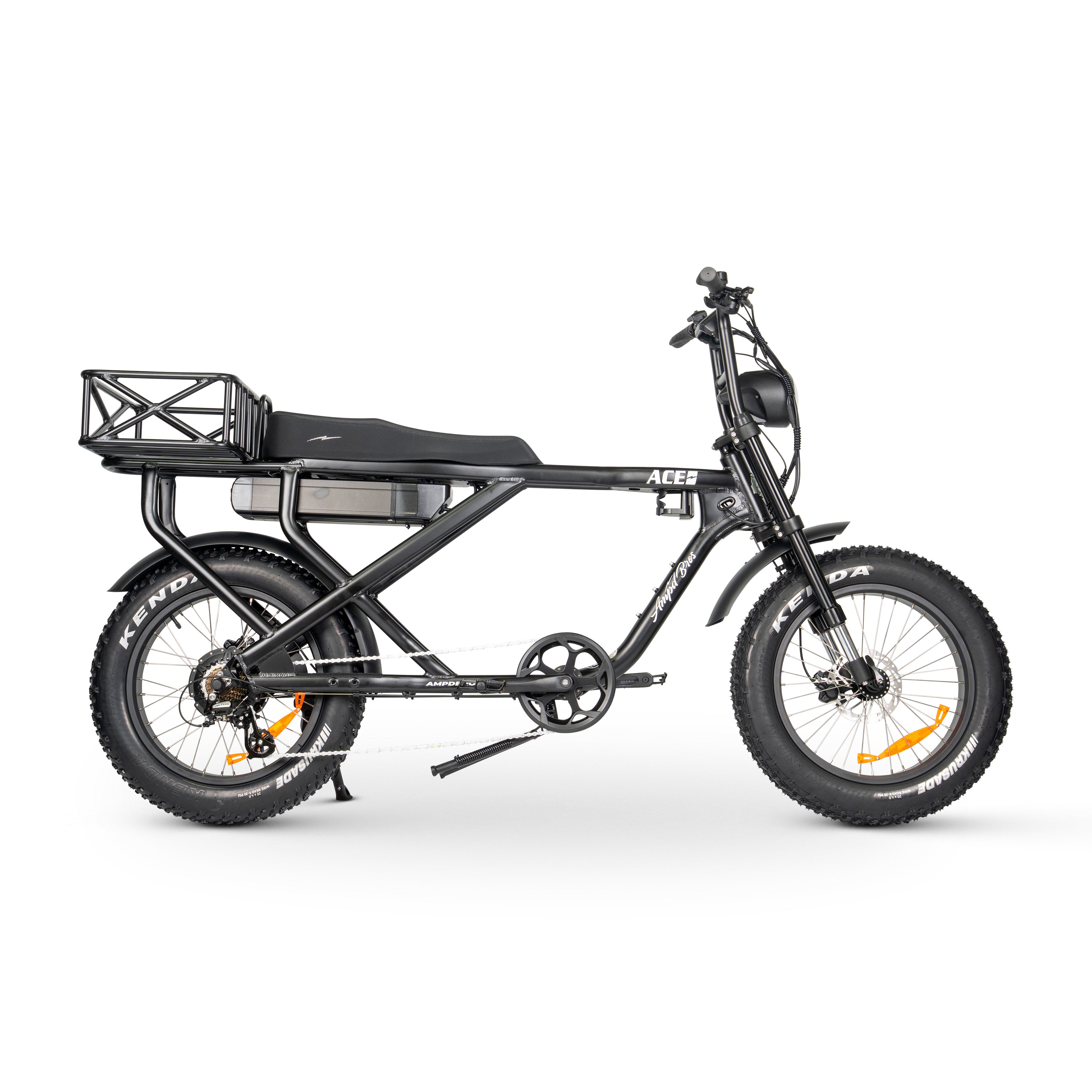 ACE-X MAX Electric Bike