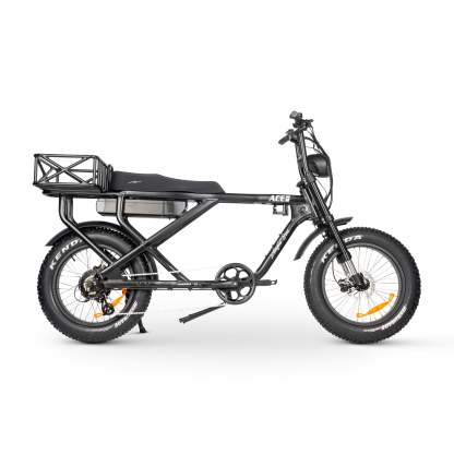 ACE-X MAX Electric Bike