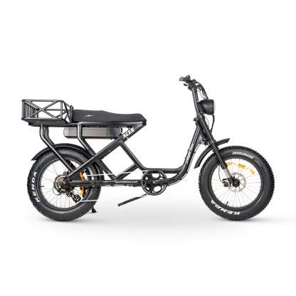 ACE-S MAX Electric Bike