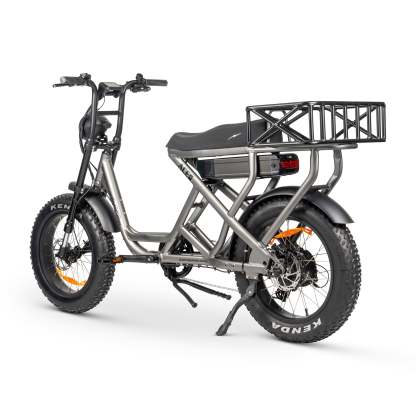 ACE-S MAX Electric Bike