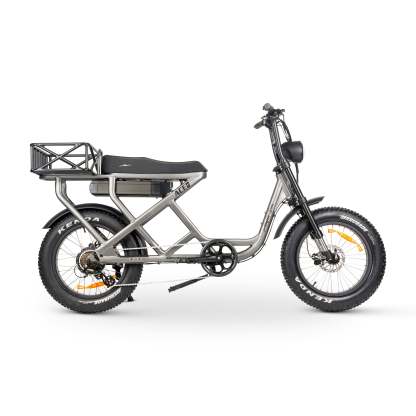 ACE-S MAX Electric Bike