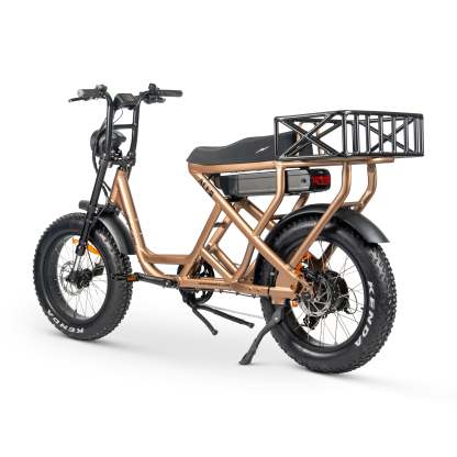 ACE-S MAX Electric Bike