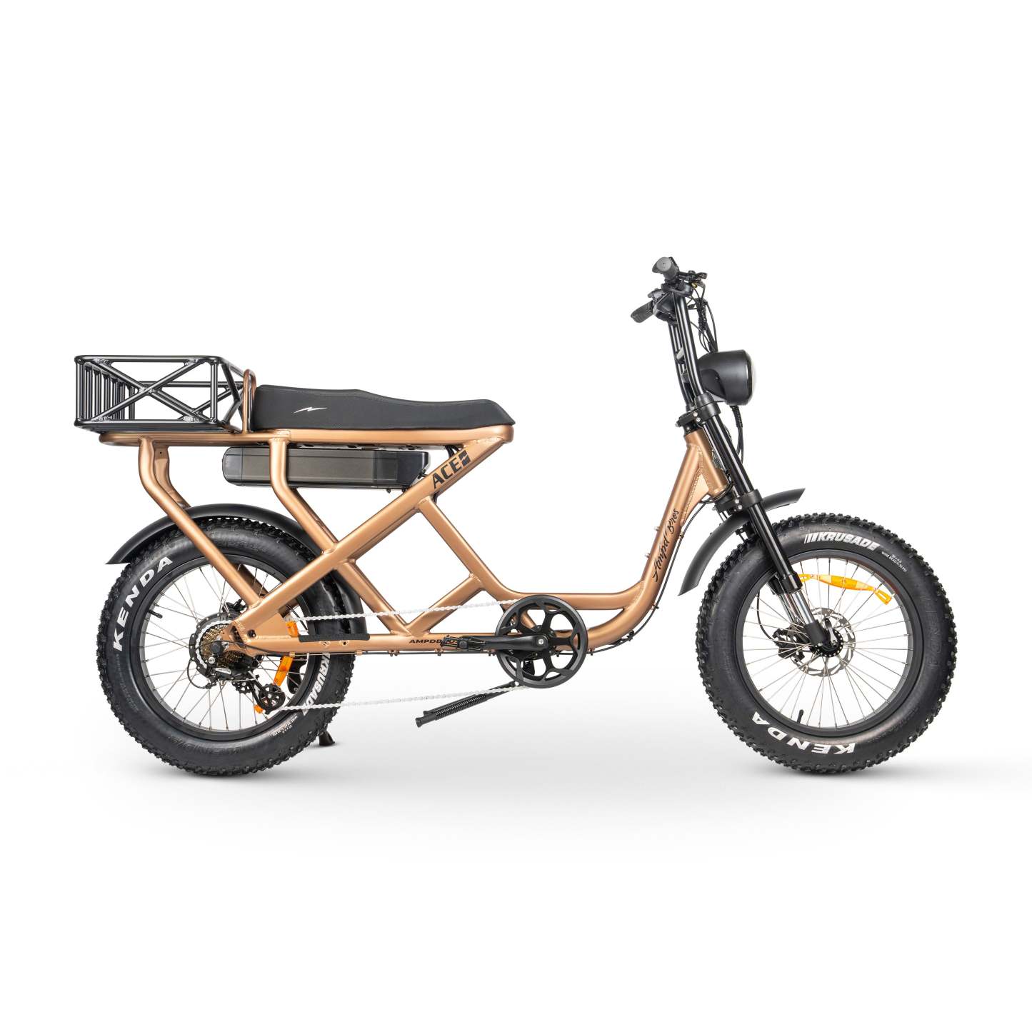 ACE-S MAX Electric Bike