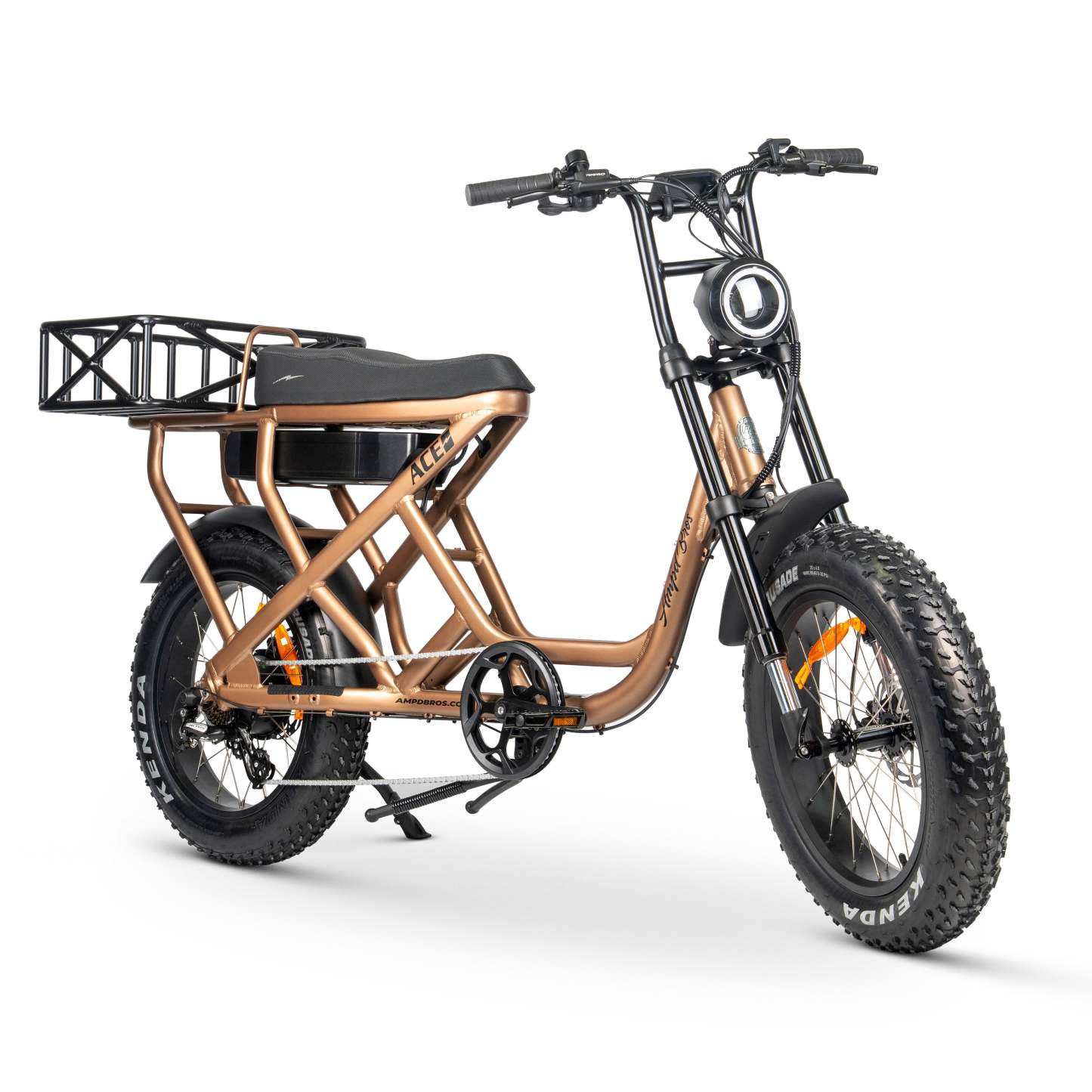 ACE-S MAX Electric Bike
