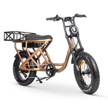 ACE-S MAX Electric Bike