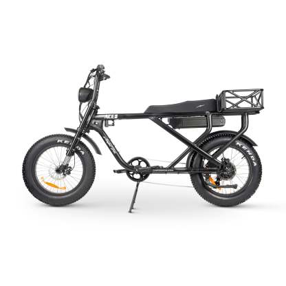 ACE-X MAX Electric Bike