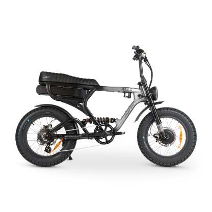 ACE-X Demon Dual Electric Bike