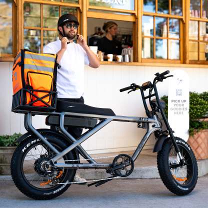 ACE-S MAX Electric Bike