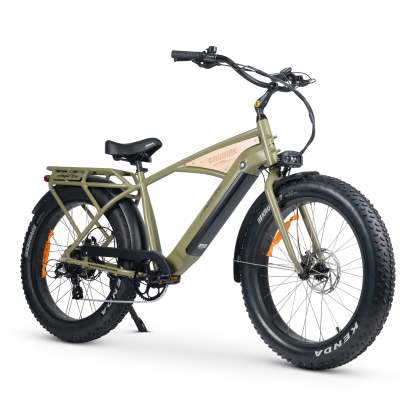 CHUBBIE 3 Electric Bike