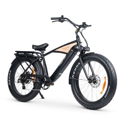 CHUBBIE 3 Electric Bike