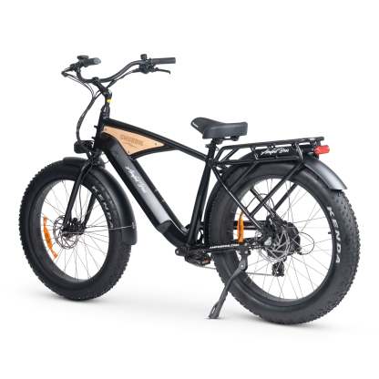CHUBBIE 3 Electric Bike