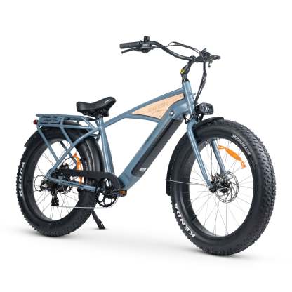 CHUBBIE 3 Electric Bike