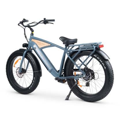 CHUBBIE 3 Electric Bike