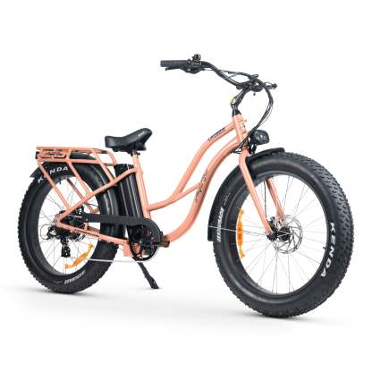 CHUBBIE-S 2 Electric Bike