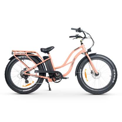 CHUBBIE-S 2 Electric Bike
