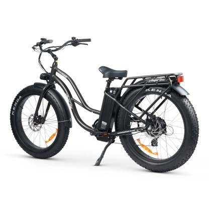 CHUBBIE-S 2 Electric Bike