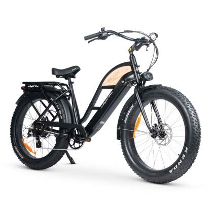 CHUBBIE-S 3 Electric Bike
