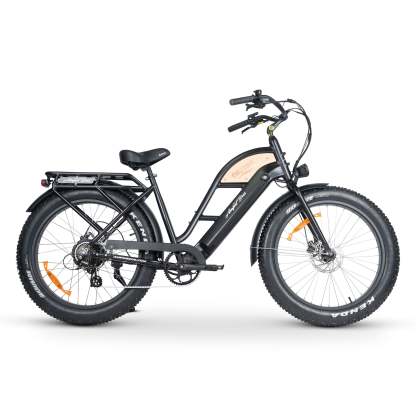 CHUBBIE-S 3 Electric Bike