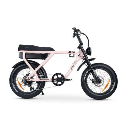 ACE-X Plus+ Electric Bike