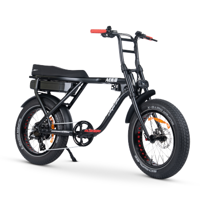 ACE-X Street Electric Bike