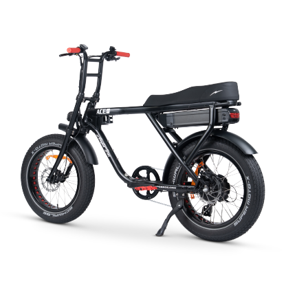 ACE-X Street Electric Bike