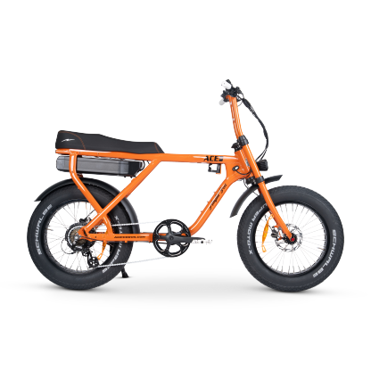 ACE-X Street Electric Bike