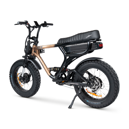ACE-X Demon Dual Electric Bike