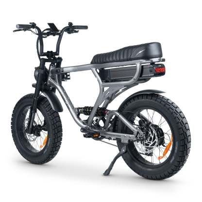 ACE-X PRO Electric Bike