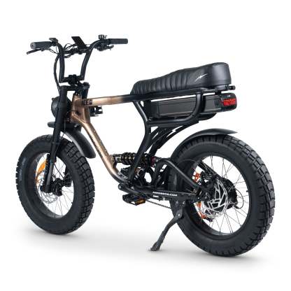 ACE-X PRO Electric Bike