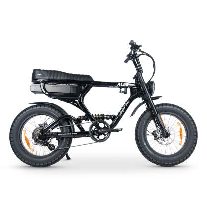 ACE-X PRO Electric Bike