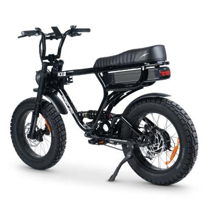 ACE-X PRO Electric Bike
