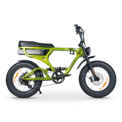 ACE-X PRO Electric Bike